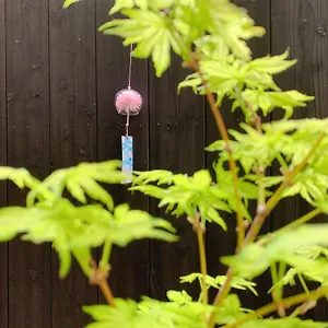  Holiday home 桃夭庵 Touyouan Momo House Kujo 一棟貸切 Japan