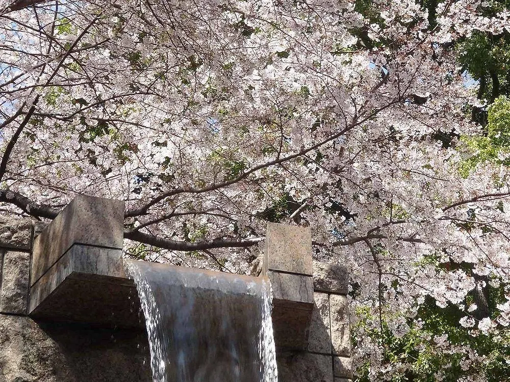 Tokyo Marriott Hotel 4*,  Japán